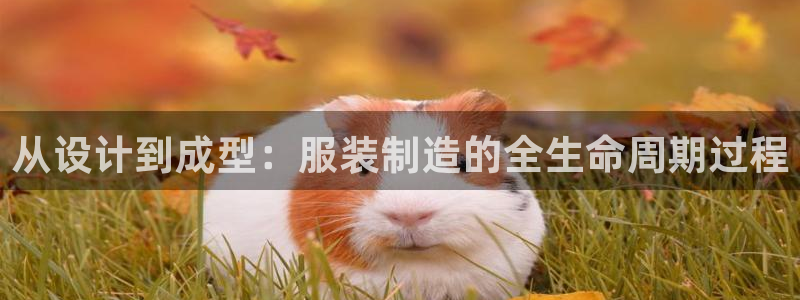 利记官网官方网址