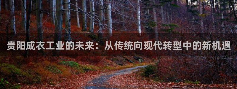 利记足球官网