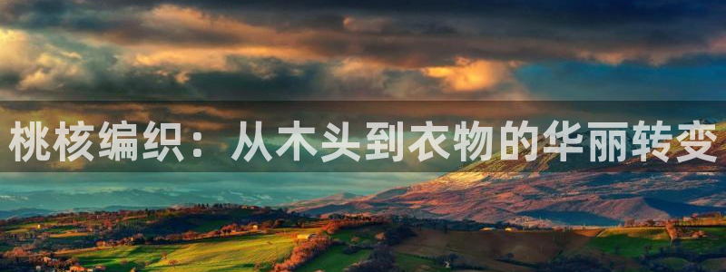 利记体育在线官网