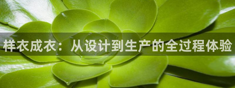 利记买球官网