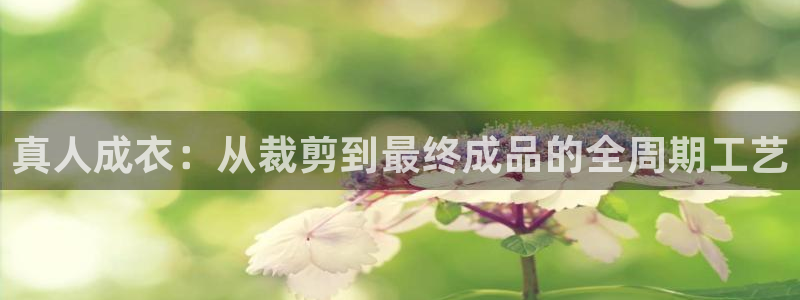 利记官网是什么