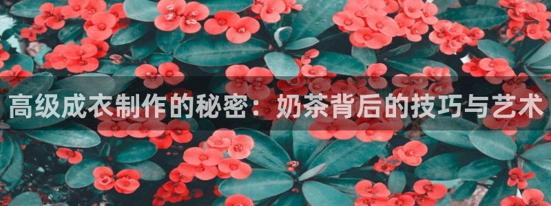 利记亚洲官网