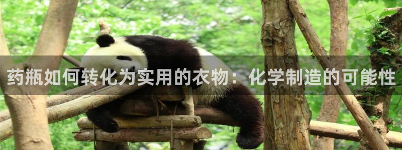 利记体育投注官网