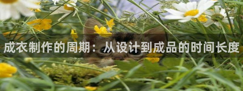 利记坊官网登录