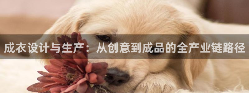利记官网app