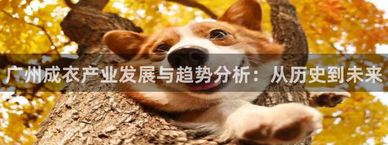 利记广告联盟官网