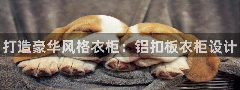 利记官网多少