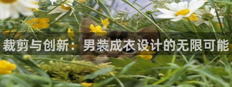 利记体育app官网