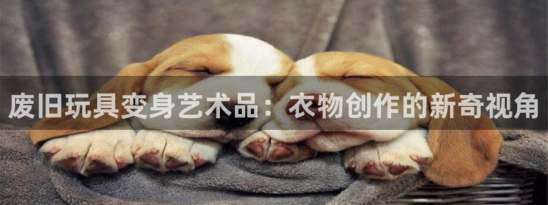 利记体育手机版官网