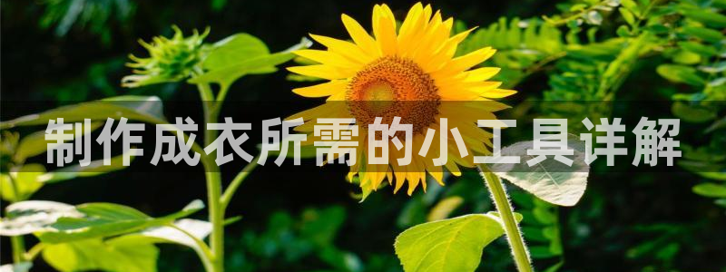 利记娱乐会员金钻官网