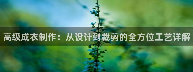 铂利记旗舰店官网