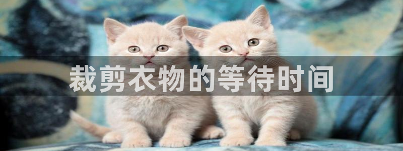 香港利记集团官网