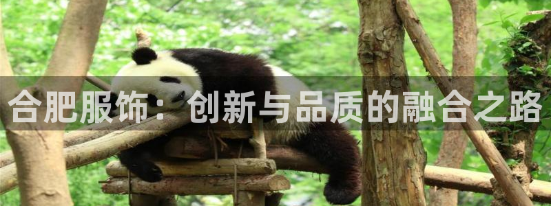 利记官网电脑版