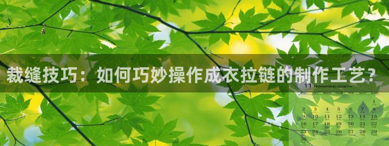 sbo利记体育官网