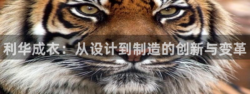 利记坊官网登录