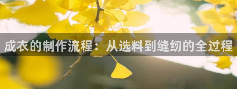 利记体育手机版官网