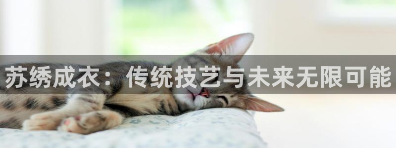 sbobet利记官网登录入口