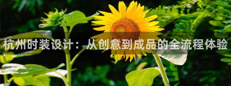 利记官网开户